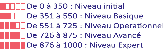 niveau